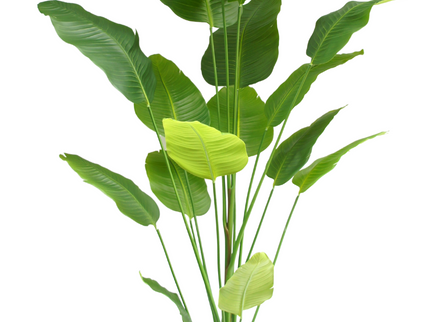 Künstliche Pflanze Strelitzia 210 cm real touch