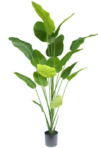 Künstliche Pflanze Strelitzia 210 cm real touch