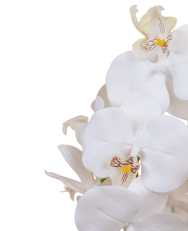 Künstliche Orchidee 65 cm weiß in goldener Schale