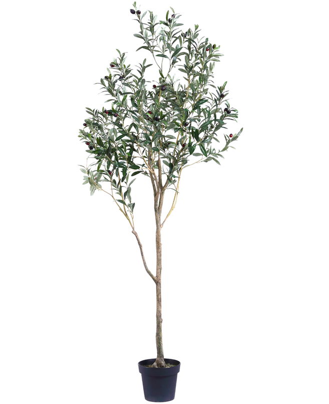 Künstlicher Olivenbaum 180 cm