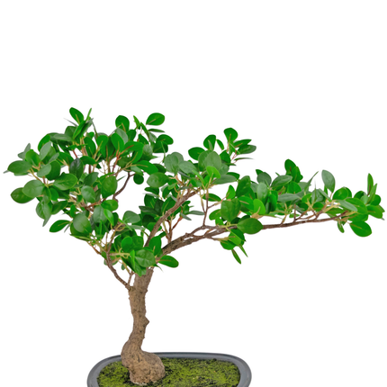 Künstliche Pflanze Bonsai Ficus 40 cm