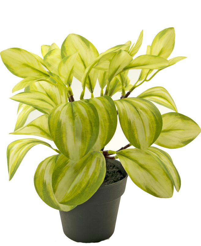 Kunstpflanze Rohdea 28 cm grün