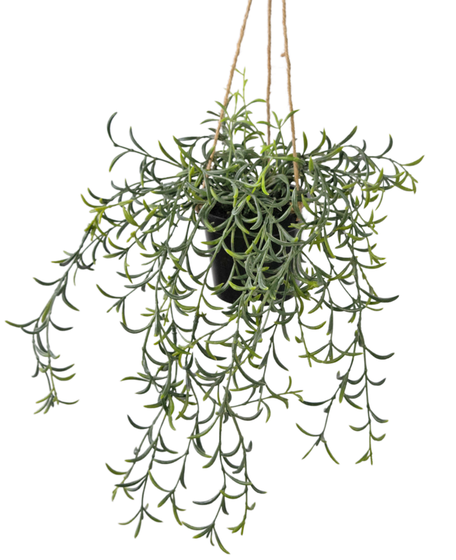 Künstliche Hängepflanze Senecio mit Topf 35 cm
