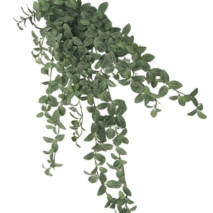 Künstliche Fittonia grün-weiß 90cm