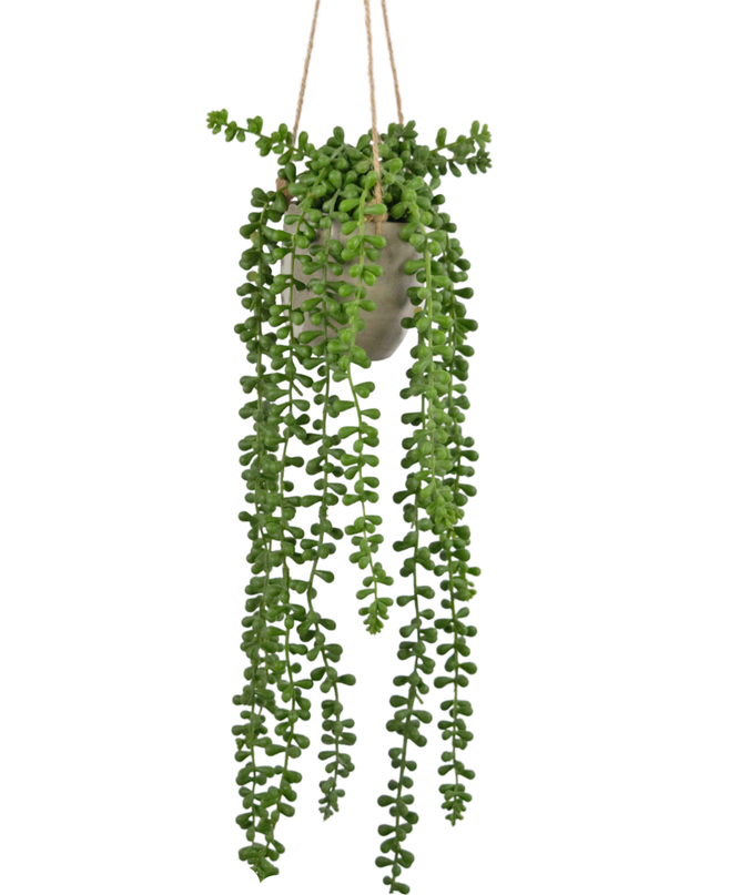 Künstliche Hängepflanze Senecio im Topf 55 cm
