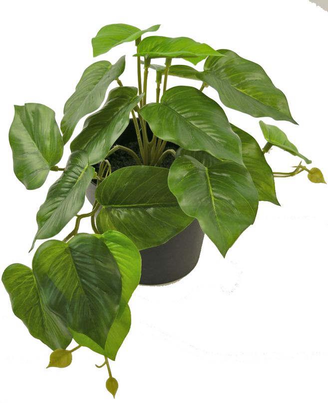 Künstliche Pflanze Scindapsus 25 cm