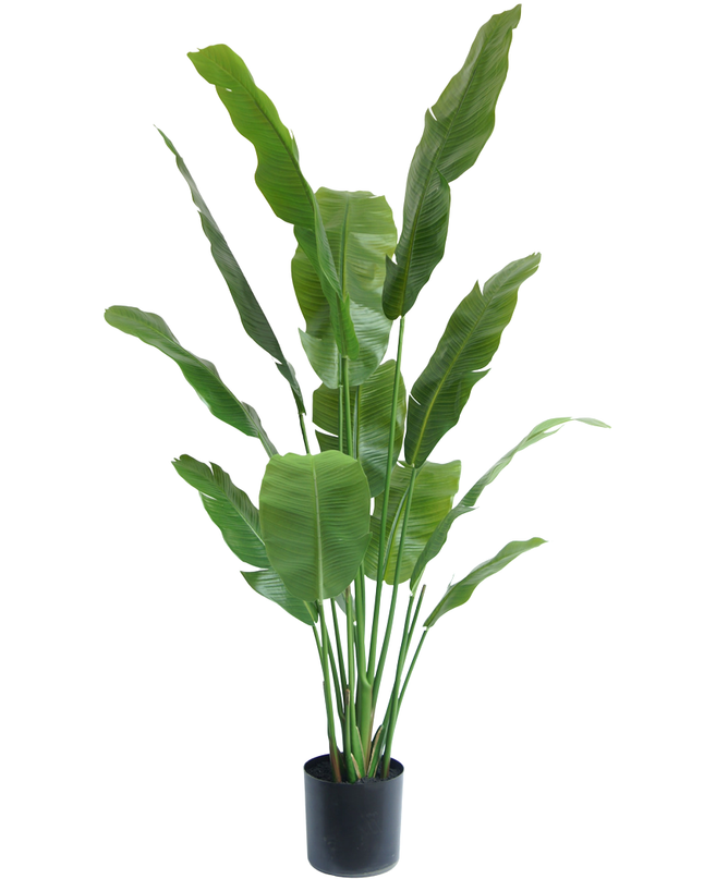 Kunstpflanze Strelitzia Nicolai Deluxe 165 cm