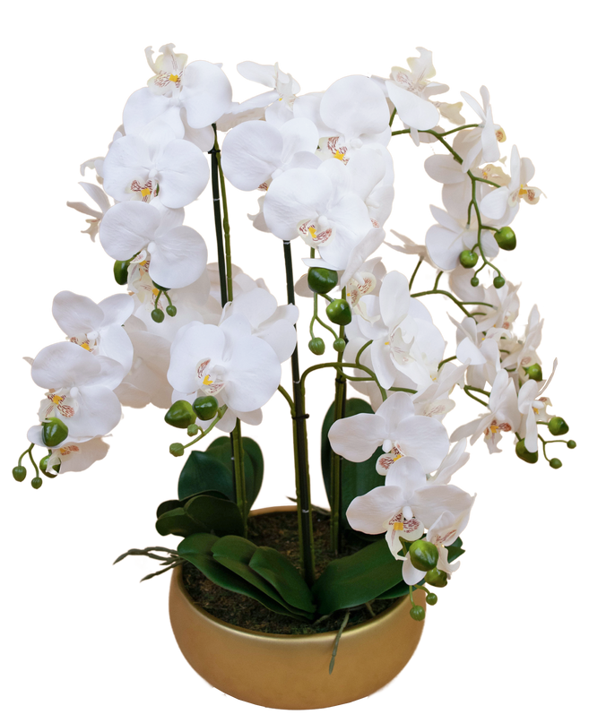 Künstliche Orchidee 65 cm weiß in goldener Schale