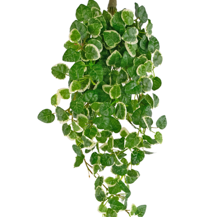 Künstliche Wandpflanze Pumila 50 cm