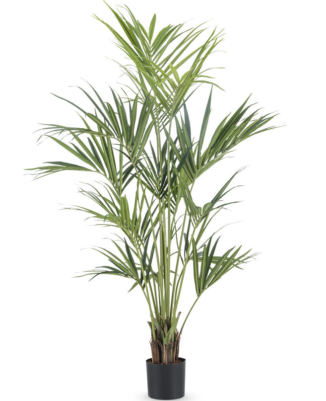 Künstliche Palme Kentia 190 cm