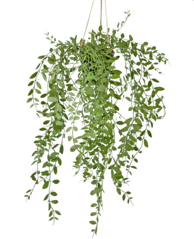 Künstliche Hängepflanze Pumila im Topf 55 cm