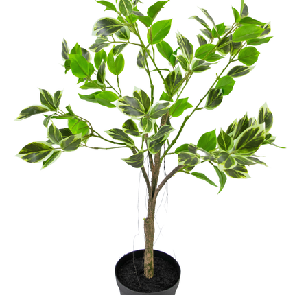 Kunstpflanze Ficus Henryi 60 cm grün/weiß