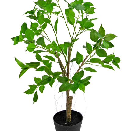 Künstliche Pflanze Ficus Henryi 60 cm