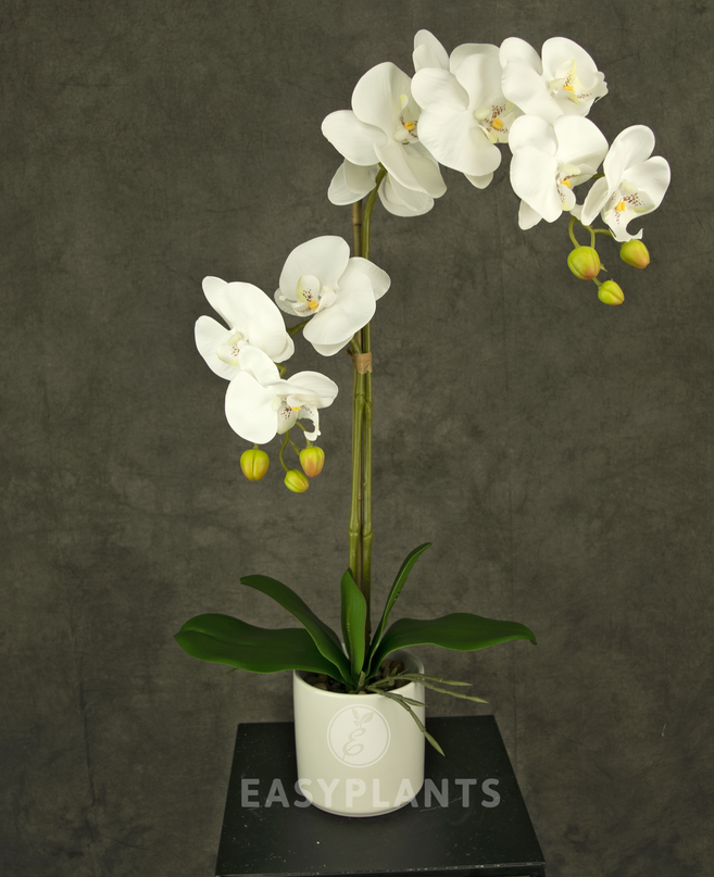 Künstliche Orchidee 52 cm weiß in weißem Topf