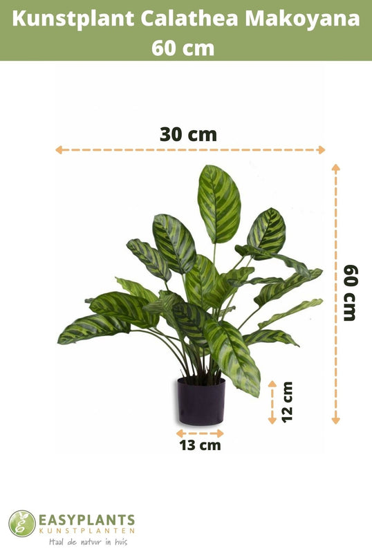 Künstliche Pflanze Calathea Makoyana 60 cm