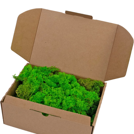 Rentiermoos Gras grün 500 Gramm