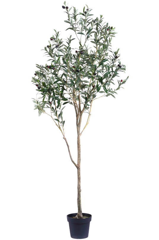 Künstlicher Olivenbaum 180 cm