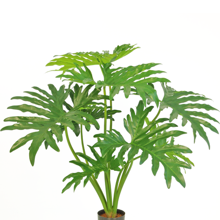 Künstliche Pflanze Philodendron 80 cm