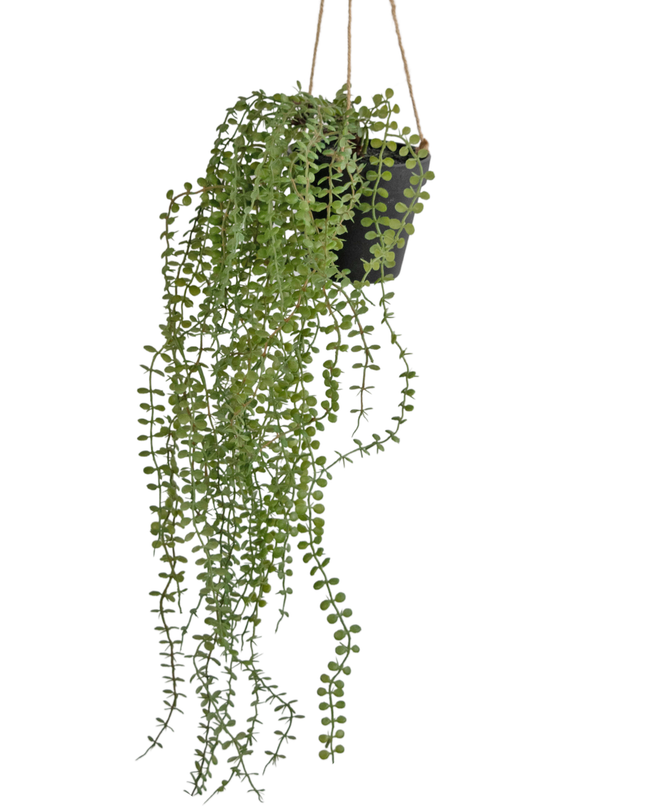 Künstliche Hängepflanze Pumila 81 cm im Topf