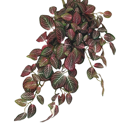 Künstliche Wandbehangpflanze Fittonia Rot und Weiß 70 cm