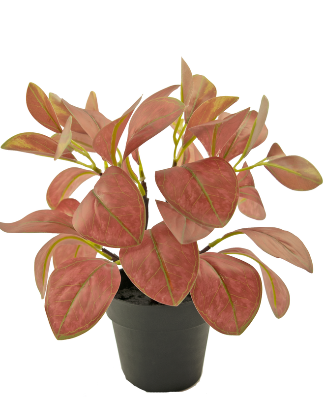 Kunstpflanze Rohdea 28 cm rot