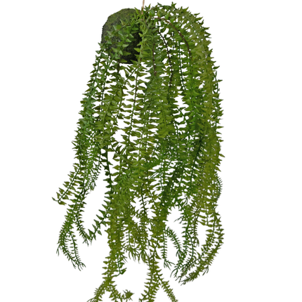 Künstliche Hängepflanze Phlegmariurus Kugel 50 cm