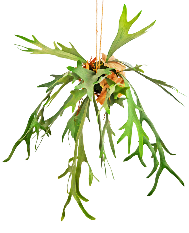 Künstliche Hängepflanze Staghorn auf Kugel 89 cm