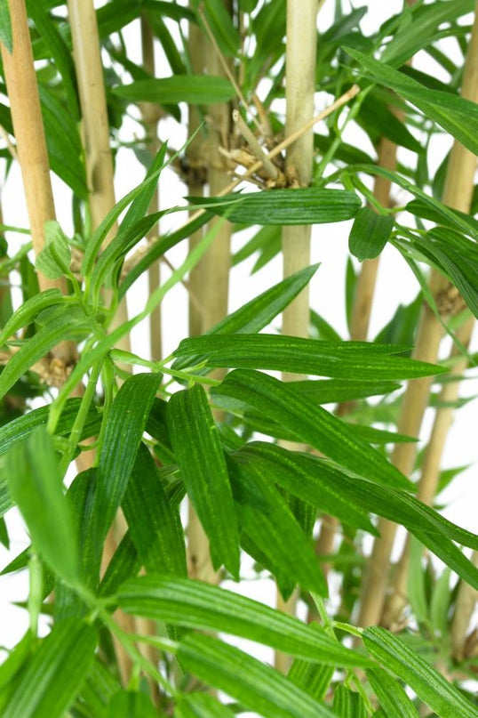 Kunstpflanze Japanischer Bambus 110 cm