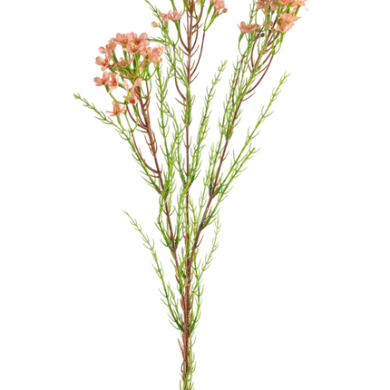 Künstlicher Zweig Waxflower 78 cm rosa