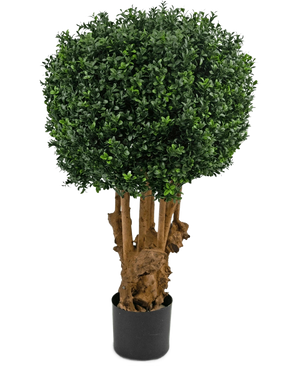 De Kunst Buxusbal Hout Romeinse stijl UV 90 cm heeft een ronde, dichte cluster van groene bladeren op meerdere bruine stengels in een zwarte plantenbak, tegen een witte achtergrond.
