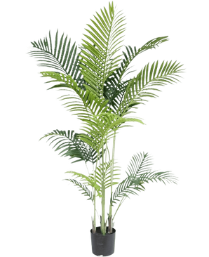 De Kunstplant Phoenix 160 cm is een hoge nepplant met slanke groene bladeren op meerdere stelen in een kleine zwarte pot, tegen een witte achtergrond voor een luxe uitstraling - perfect voor liefhebbers van tropische planten.