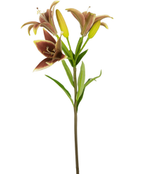 Künstliche Blume Asiatische Lilie 66 cm alt rosa