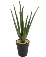 De Kunstplant Aloë Vera 33 cm heeft lange, piekerige groene bladeren die omhoog groeien, in kleine steentjes in een strakke zwarte pot, tegen een witte achtergrond.