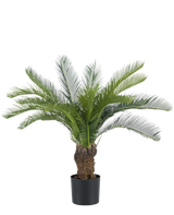 De Kunstplant Cycaspalm 80 cm heeft lange, gebogen groene palmvaren en een dikke, gestructureerde stam. De plant staat in een eenvoudige zwarte pot tegen een effen witte achtergrond.