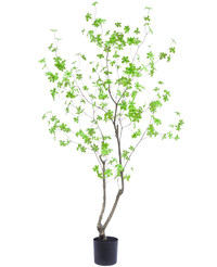 Künstliche Pflanze Enkianthus 180 cm