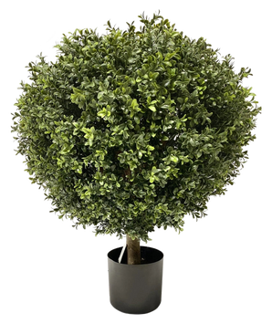 De Kunst Buxus op stam UV d60 cm is een dichte, ronde kunst vormsnoei met kleine groene blaadjes en een zichtbare enkele stam, netjes getrimd tot een bol en geplaatst in een eenvoudige zwarte pot.