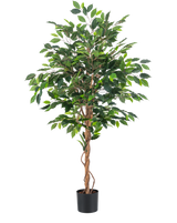 Die Kunstpflanze Ficus Green 150 cm hat mehrere grüne Blätter und geflochtene braune Stängel in einem schlichten schwarzen Topf vor einem schlichten weißen Hintergrund.