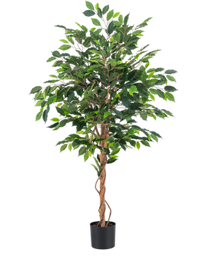 De Kunstplant Ficus Groen 150 cm heeft meerdere groene bladeren en gevlochten bruine stammen in een eenvoudige zwarte pot, tegen een effen witte achtergrond.