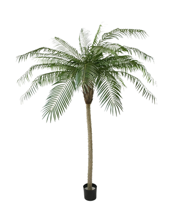 Künstliche Palme Phoenix De Luxe 2,10m