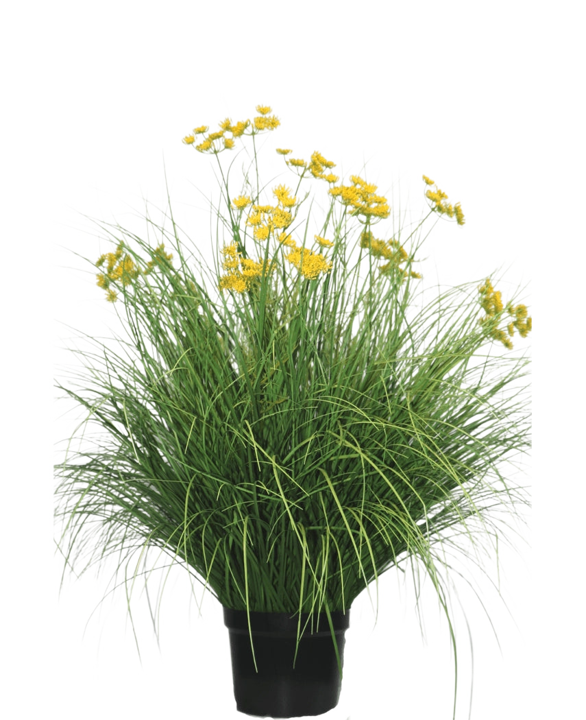 Die feuerhemmende Kunstrasenpflanze Asteraceae 100 cm hat lange, schmale Blätter und leuchtend gelbe Blütenbüschel an hohen Stielen. Diese wartungsfreie Pflanze sieht in jedem Innenraum vor einem weißen Hintergrund wunderschön aus.