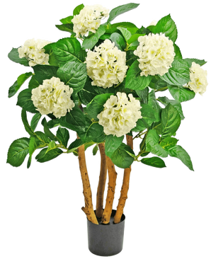 De Kunstplant Hortensia UV 85 cm wit is een kunstplant in pot met stevige bruine stelen, grote groene bladeren en trossen witte hortensia-achtige bloemen aan de bovenkant.