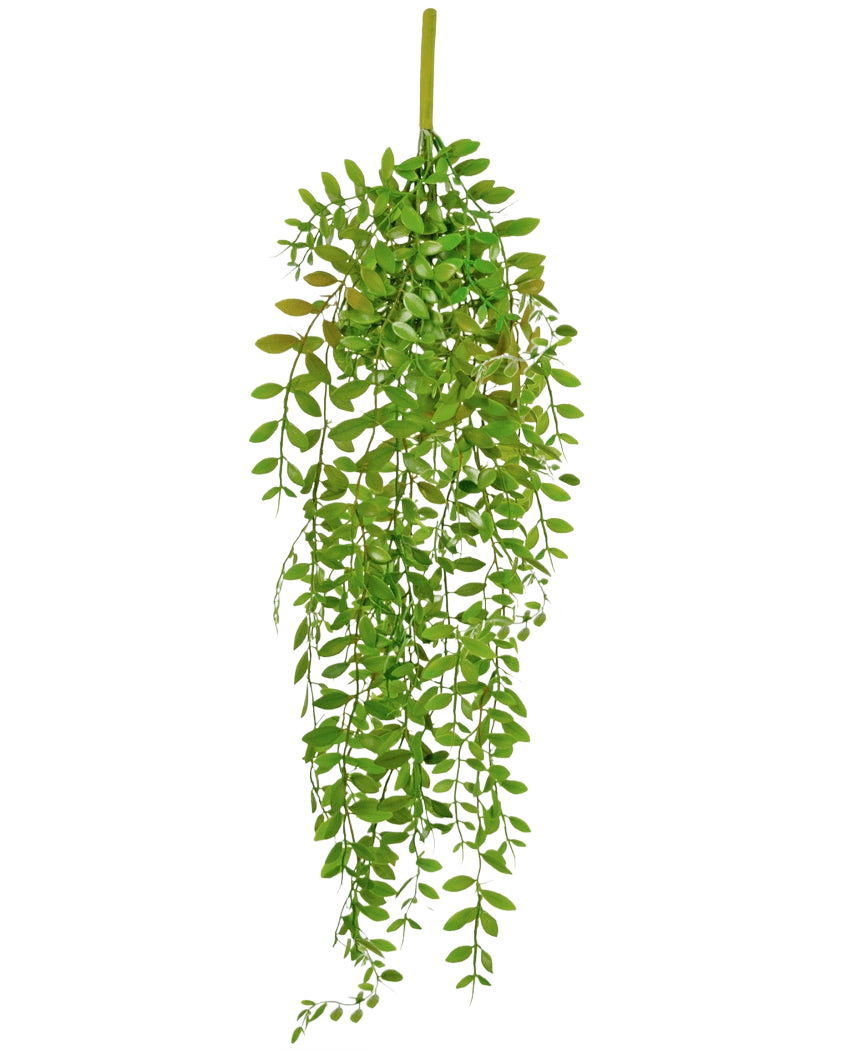 Die künstliche Hängepflanze Pumila 89 cm hat kleine, ovale grüne Blätter an mehreren hängenden Stielen vor einem schlichten weißen Hintergrund.