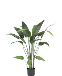 Künstliche Pflanze Heliconia 110 cm