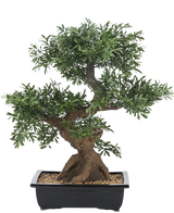 Het Kunst bonsai boompje 70 cm in pot heeft dicht groen gebladerte en een dikke, gedraaide stam, in een rechthoekige zwarte pot gevuld met kiezels tegen een witte achtergrond.