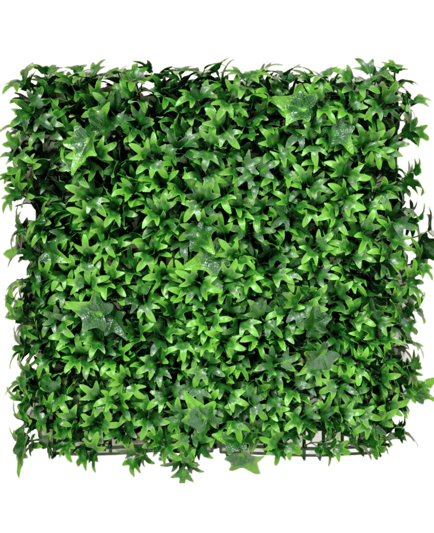 Kunstpflanzen Wand Efeu 50x50 cm UV – Easyplants Deutschland