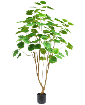 De Kunstplant Ficus 180 cm is een hoge kamerplant in pot met meerdere slanke bruine stengels en grote groene bladeren, afgebeeld tegen een effen witte achtergrond.