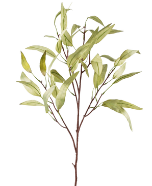 De Kunsttak Eucalyptus Niphophila 108 cm groen heeft een enkele bruine stam met meerdere dunne takken, elk versierd met langwerpige, lichtgroene bladeren, tegen een effen witte achtergrond.