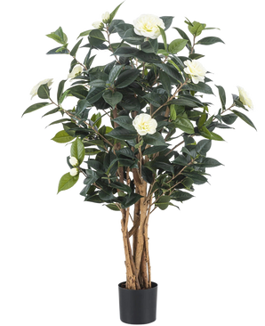 De Kunstplant Camellia japonica 100 cm heeft meerdere hoge bruine stelen, donkergroene bladeren en witte kunstbloemen tegen een effen witte achtergrond.
