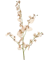 Die künstliche Zweigorchidee 80 cm rosa hat einen einzelnen Stiel aus hellrosa künstlichen Orchideen mit mehreren Blüten und kleinen Knospen auf dünnen grünen Zweigen vor einem schlichten weißen Hintergrund.