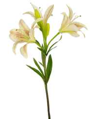 Künstliche Blume Asiatische Lilie 66 cm rosa